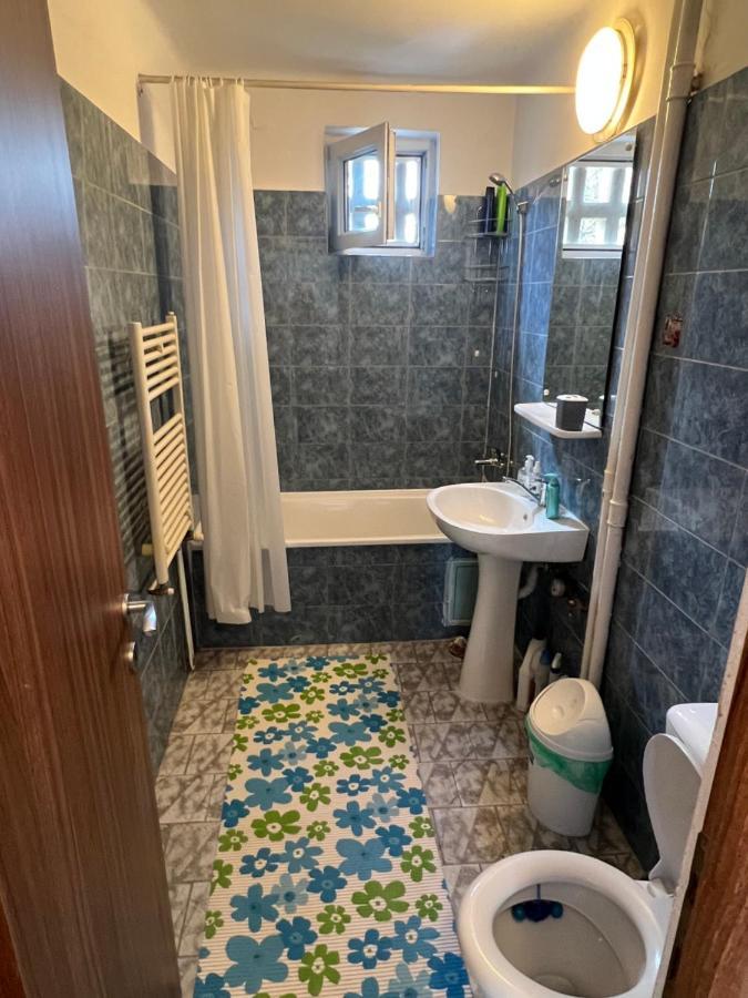 Apartment 2 Camere Centru Piata 700 Timișoara Zewnętrze zdjęcie
